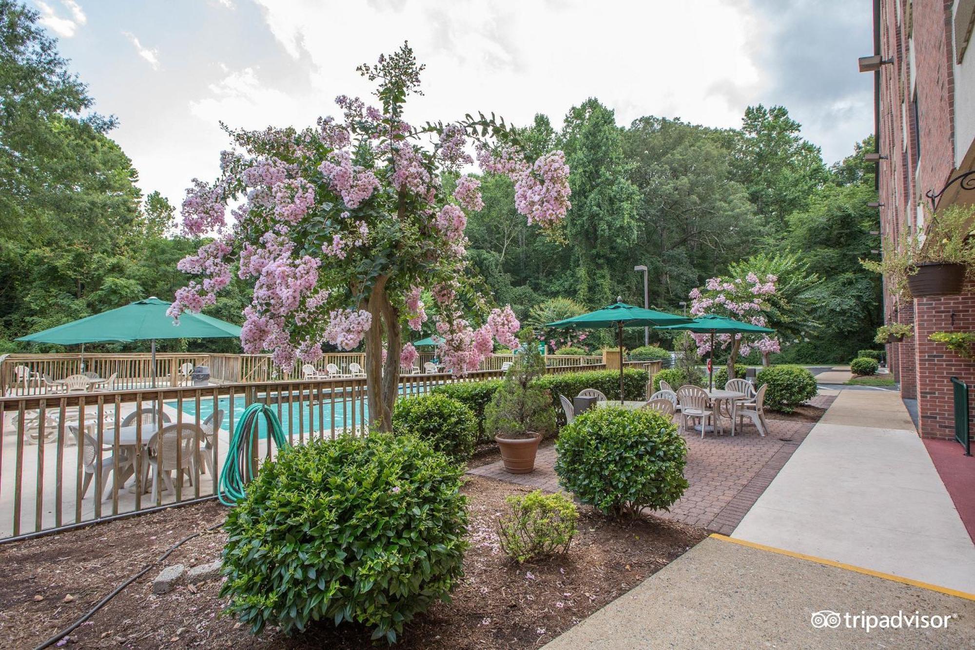 Hotel Country & By Radisson, East Busch Gardens , Va 3*